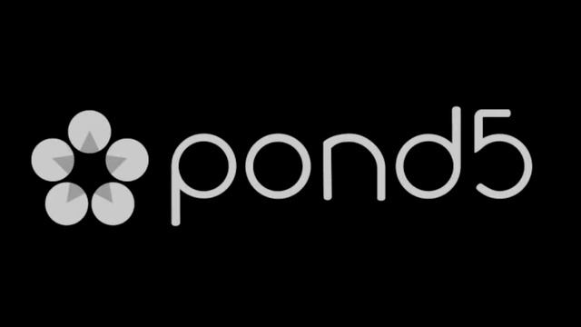 Pond5 RF Media Fantasy Chillstep смотреть онлайн