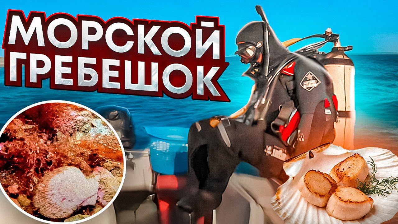Зачем вам нужно попробовать морской гребешок? смотреть онлайн