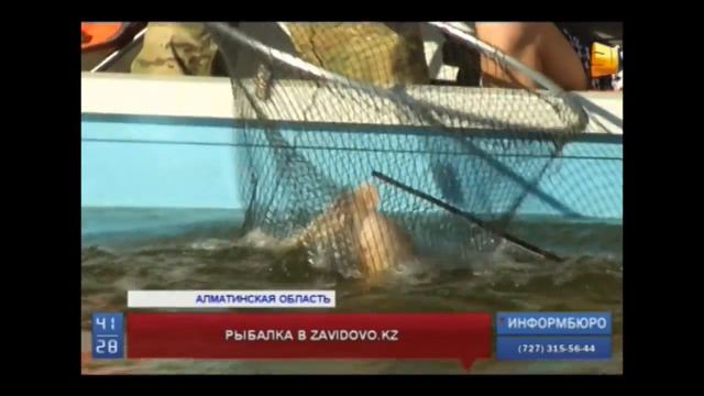 Рыбалка в Казахстане! Балхаш! База Завидово! смотреть онлайн