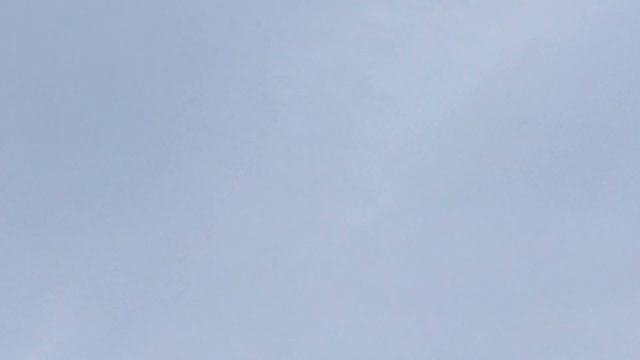 #Pigeons.Чудо лекарство для голубей. смотреть онлайн