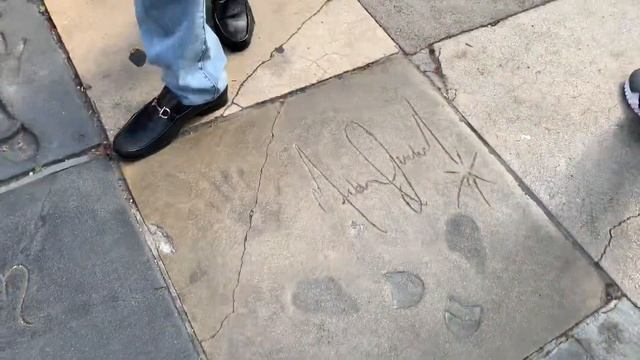 Chinese theatre Los Angeles USA смотреть онлайн