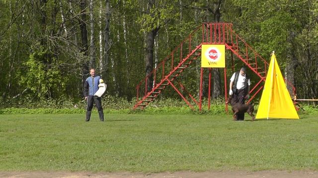 Кубок Москвы 2016 г. по ОКД и ЗКС (камера 2). смотреть онлайн
