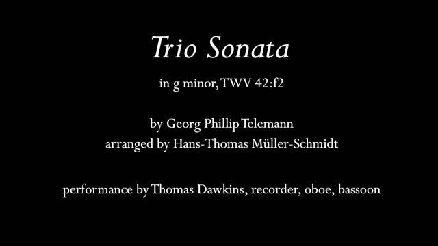 Telemann: Trio Sonata In G Minor (recorder, Oboe, Bassoon)