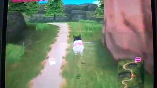 Petz Catz 2 (Catz) Playthrough Part 19 смотреть онлайн