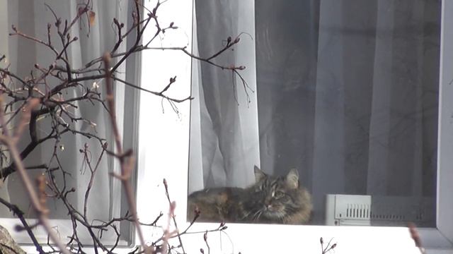 "Жаворонки" смотреть онлайн