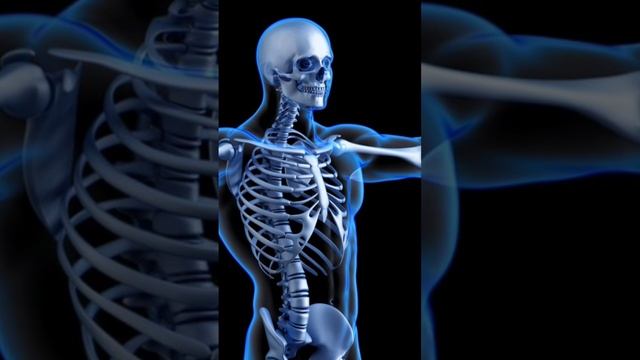 что будет если отжиматься каждый день смотреть онлайн