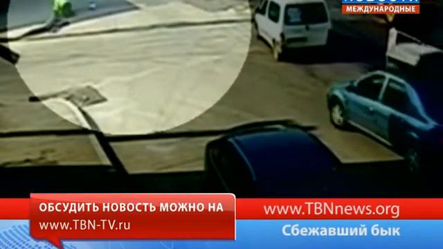 Сбежавший бык смотреть онлайн