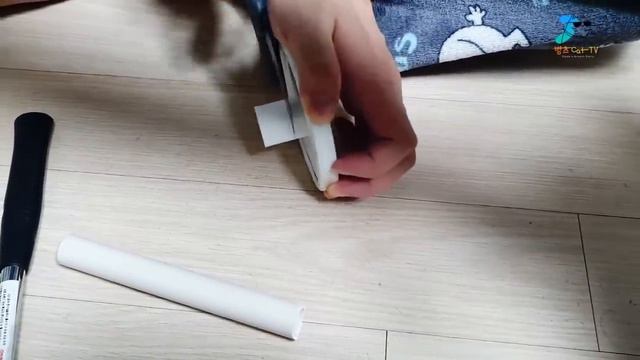 랙돌 아기고양이 심바의 캣봉? 만들기 최초공개! (고양이 집사들 완소템) смотреть онлайн