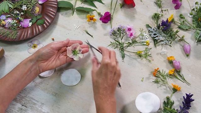 Как сушить цветы и листья | Подготовка ГЕРБАРИЯ смотреть онлайн
