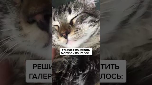 Видео,приколы,юмор,смех смотреть онлайн