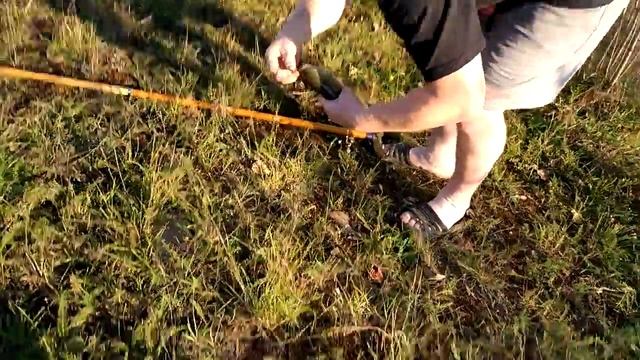 БОБОЛЬШАЯ РЫБА смотреть онлайн