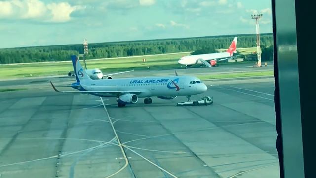 Лютики самолётики))))) смотреть онлайн