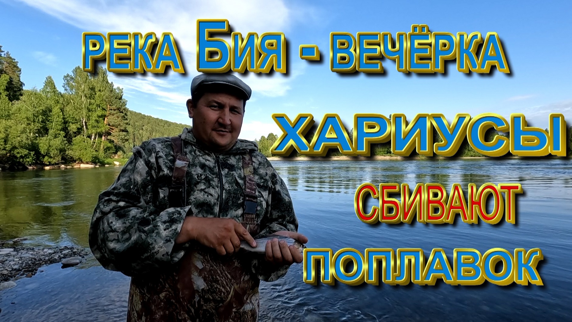 Река Бия.Вечерка. Хариусы кормятся сбивая поплавок.mp4 смотреть онлайн