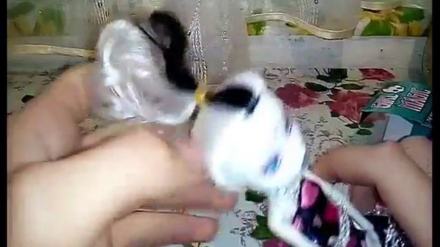 Обзор подделки куклы монстер хай смотреть онлайн