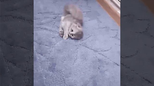 Делают первые шоги😍😍 смотреть онлайн