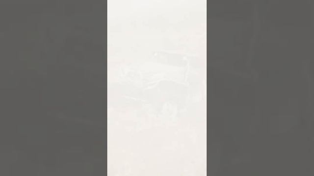 Buggy's hard life // Трудная жизнь багги смотреть онлайн