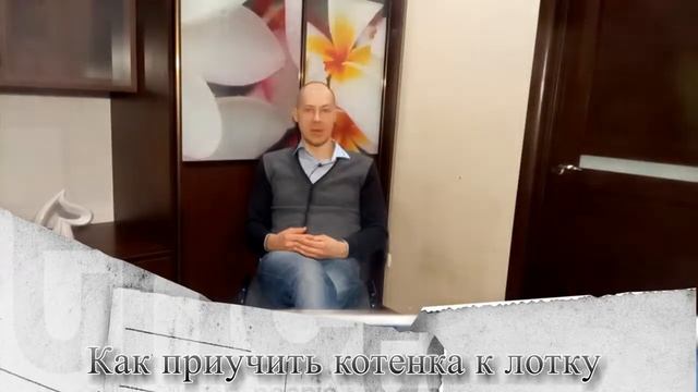 ★★ Как приучить котенка к лотку быстро. Как приучить кота к туалету за 1 месяц смотреть онлайн
