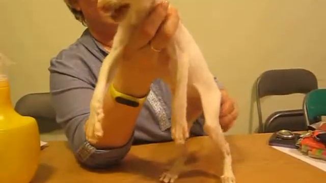 250418. Актировка в клубе. Еvgenick смотреть онлайн