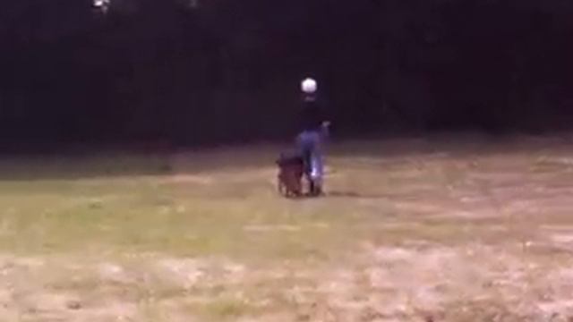 Simon from House Barrett, part two смотреть онлайн