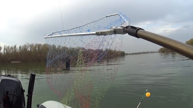 ЧТО ЛОВИТСЯ НА КРЕВЕТКУ В ДОНУ!ТАКОГО РЕЗУЛЬТАТА Я НЕ ОЖИДАЛ! смотреть онлайн