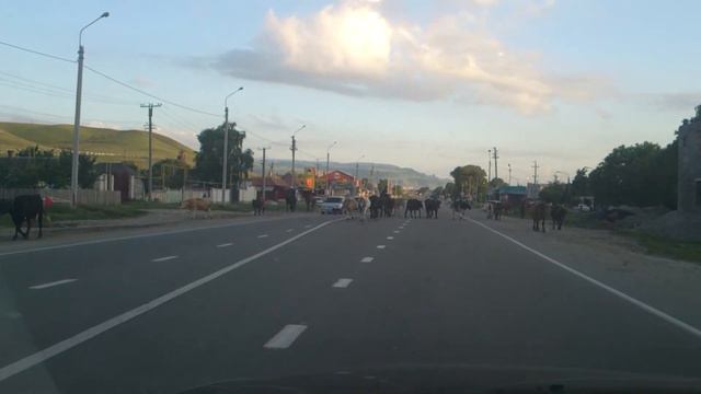 ДОРОГА НА ДОМБАЙ 9 06 2012. 20:11 смотреть онлайн