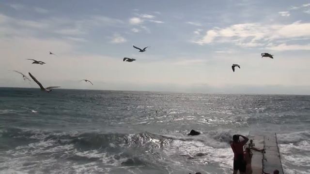Море чайки ветер free video смотреть онлайн
