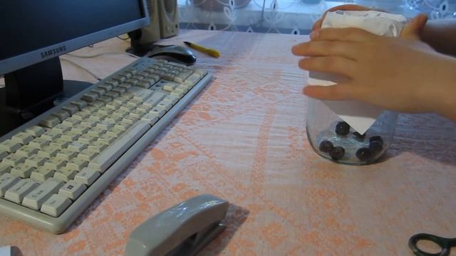 Бесплатная ловушка для фруктовых мошек дрозофил в домашних условиях!!! смотреть онлайн