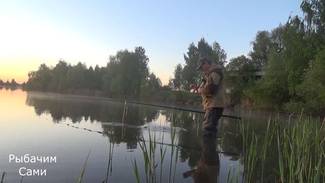 Рыбалка с ночевкой в Подмосковье ! Я поймал Карпа Руками !