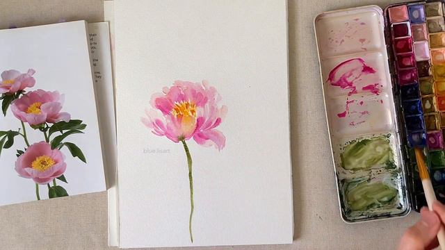 Watercolor Peonies | Painting With A Filbert Brush смотреть онлайн