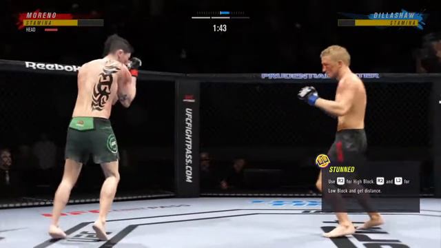EA SPORTS™ UFC® 4 Brandon Moreno vs Tj Dillashaw Online смотреть онлайн