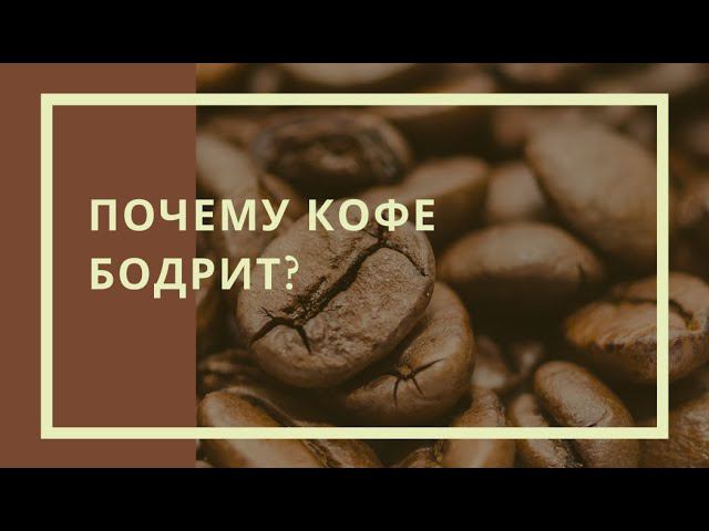 Почему кофе бодрит? смотреть онлайн