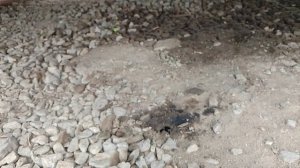 самодельный осушитель в камаз.