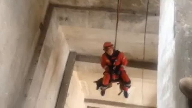 MRT test, Larisa Borisenko and Malinois Spark Hundedorf смотреть онлайн