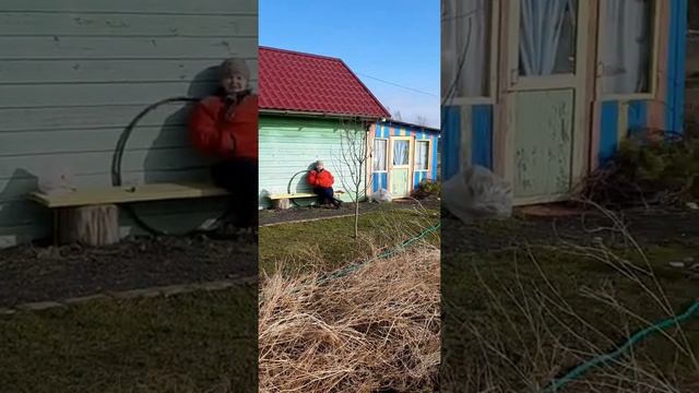 Обработка теплицы. Хозяйственное мыло. Серная шашка смотреть онлайн