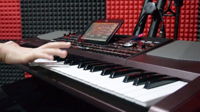 Yurij Shatunov - Bielyje Rozy |COVER KORG Pa1000 смотреть онлайн
