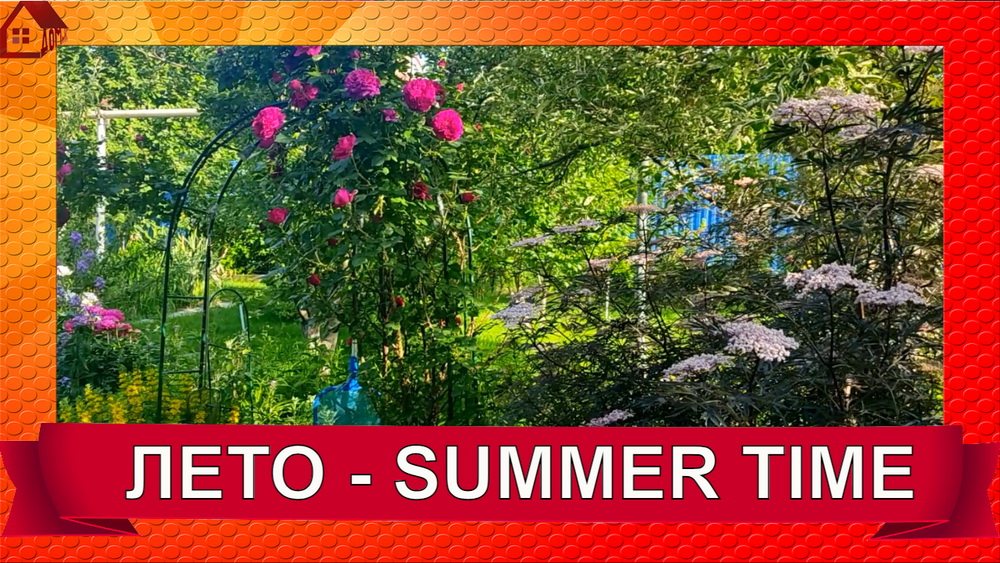 Воспоминания о лете. Мой любимый сад - летняя прогулка смотреть онлайн