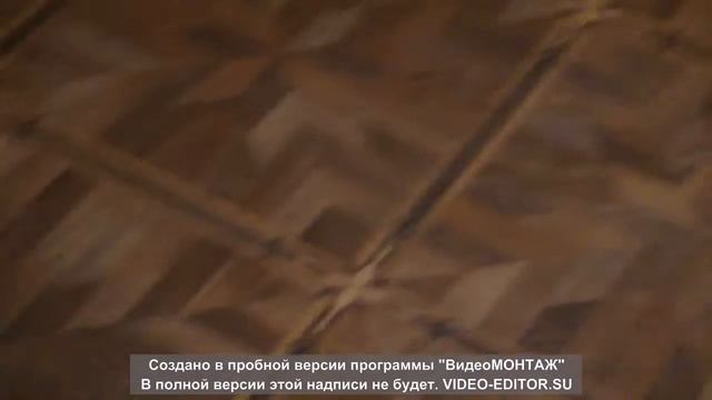 Малыши пекинесы смотреть онлайн