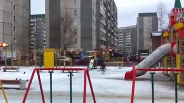 Администрация Птз незаконно сдает земельный участок смотреть онлайн