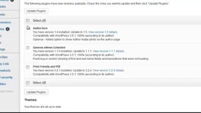Quick Tutorial On HowTo Update Your WordPress Plugins & WordPress Blog - For Beginners смотреть онлайн