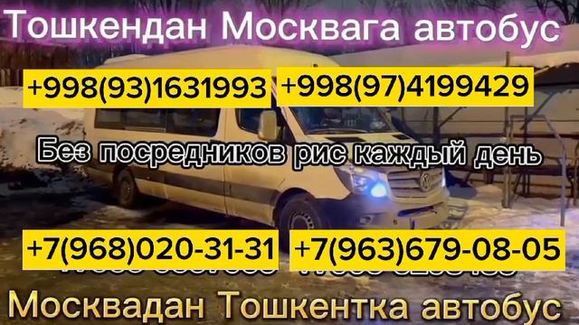 Москва ташкент Спринтермоскваташкент #автобус#россия#узбекистан#спринтер #tashkent#масква#такси#хуш смотреть онлайн