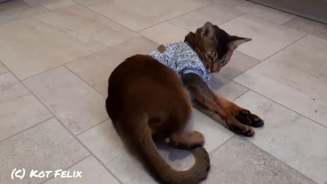 Вся жизнь - борьба смотреть онлайн