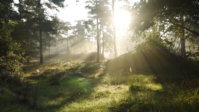Meditation,relax video for you personally, Звуки природы, Медитация лично для тебя, релакс. смотреть онлайн