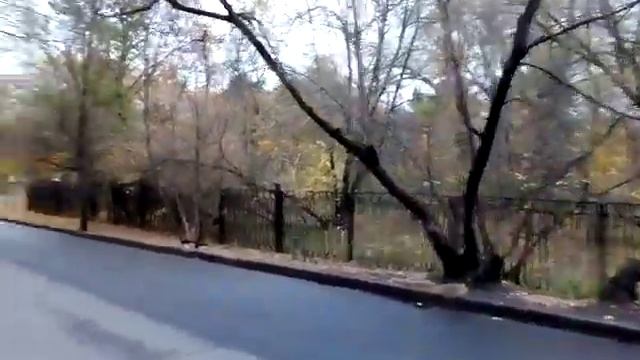 Москва 923 Тюльпанная улица, ЖК Аристократ осень день смотреть онлайн
