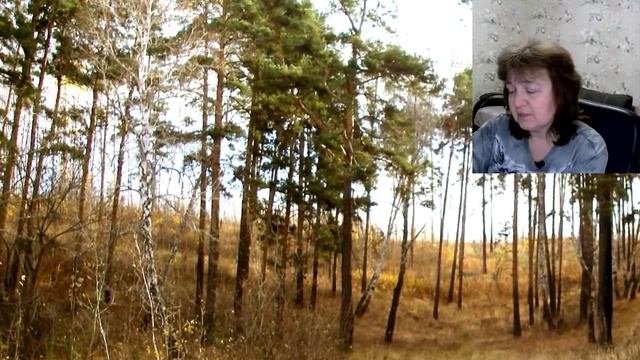 Стрим 5 декабря: первые мысли по стриму Усмана и команды СИмбы смотреть онлайн