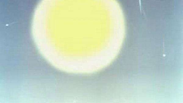 Кот Леопольд во сне и наяву