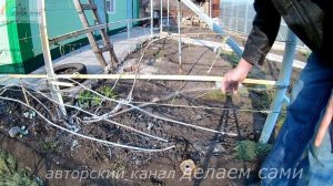 Подвязка винограда .Чем и как подвязывать виноград.Уход за виноградом весной