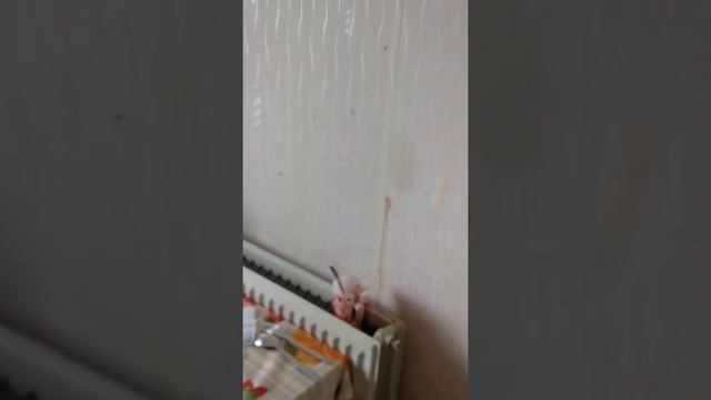 Трёшка для трудяг в городе Очёр Пермского края смотреть онлайн