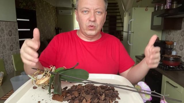 ОБРЕЗАЮ КОРНИ ОРХИДЕИ и стимулирую орхидею фаленопсис перед пересадкой смотреть онлайн
