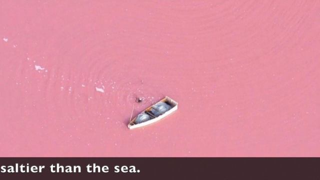 Lake Hillier, Middle Island Australia. School project by Jack смотреть онлайн