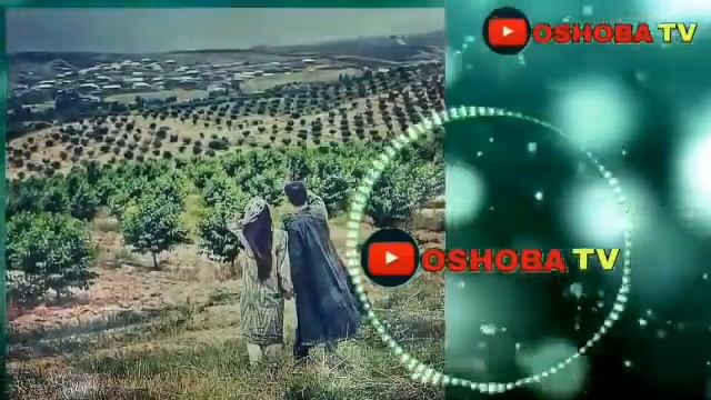 Хит  Терма кушиклар __ УЗБЕКЧА ШУХ  ТЕРМА КУШИКЛАР __ TOP 50 UZBEKCHA QO'SHIQLAR